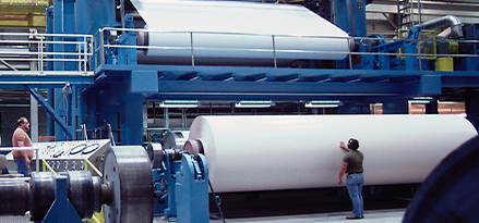 Pulp and paper